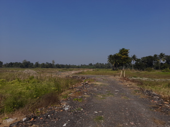  Agricultural Land for Sale in Joka, Kolkata