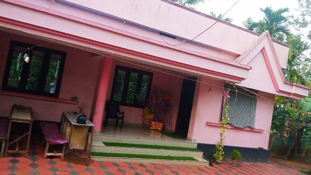  15 Cent Residential Plot for Sale in Nedupuzha, Thrissur