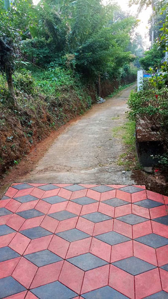  15 Cent Residential Plot for Sale in Nedupuzha, Thrissur