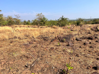  Agricultural Land for Sale in Devgad, Sindhudurg