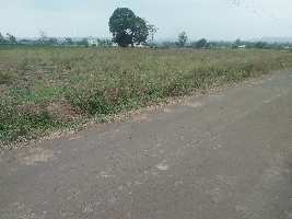  Agricultural Land for Rent in Khed, Pune