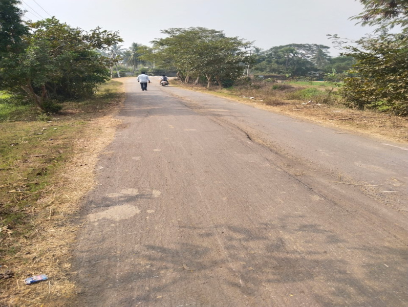  2 Acre Agricultural/Farm Land for Sale in Gudivada, Krishna