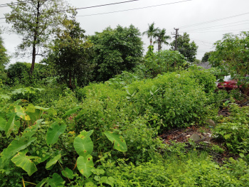  Residential Plot for Sale in Saipem, North Goa, 