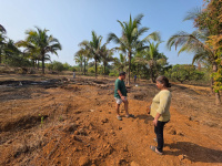 1 BHK Farm House for Sale in Sawantwadi, Sindhudurg