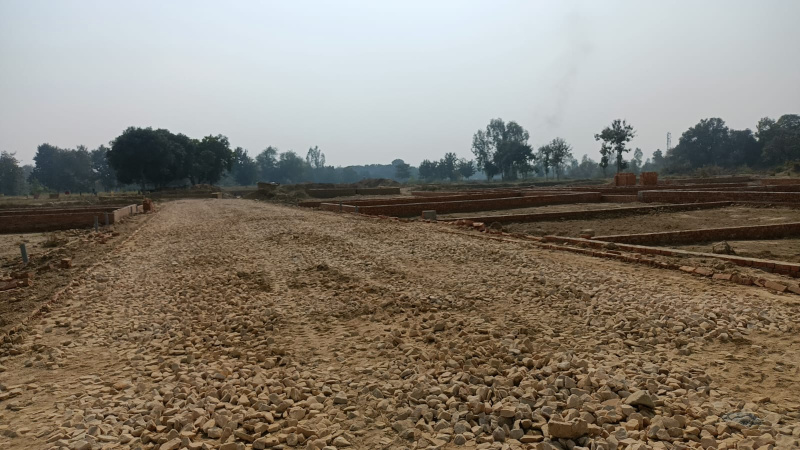  1000 Sq.ft. Residential Plot for Sale in Sushant Golf City, Lucknow