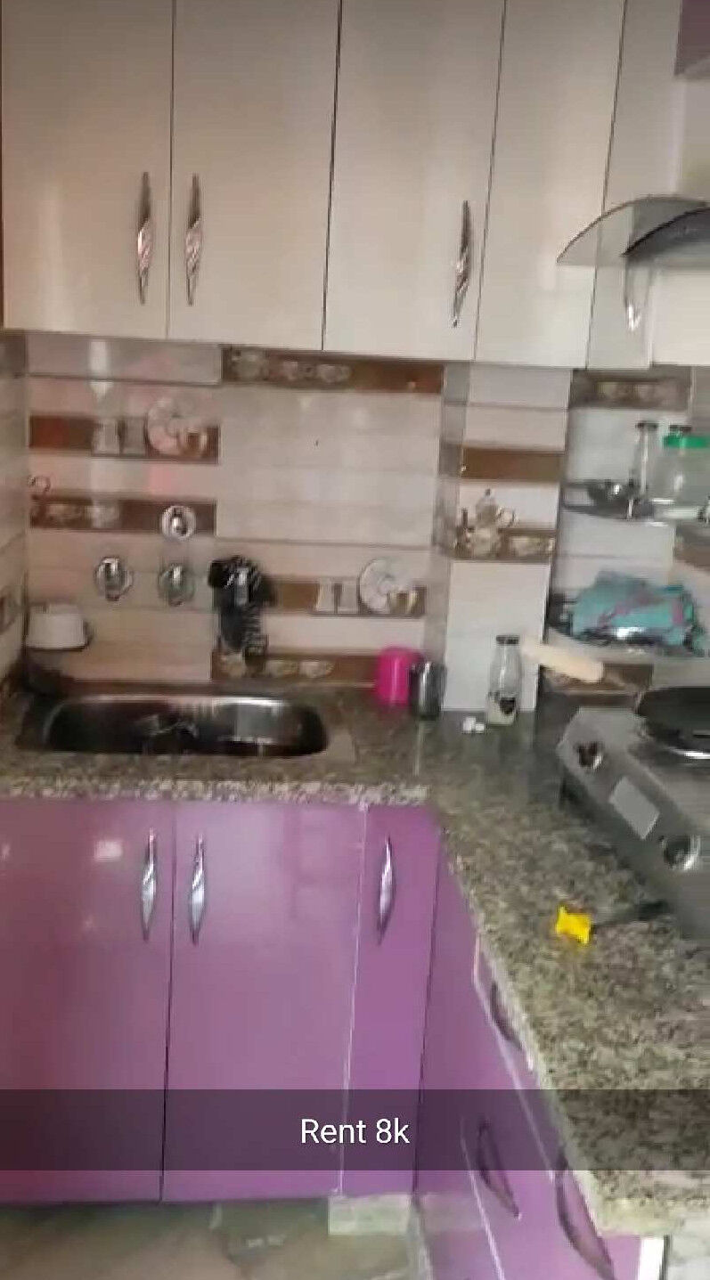 1 BHK Apartment 356 Sq.ft. for Rent in Block E Shastri Nagar, Delhi
