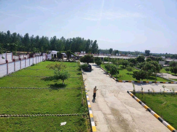 Residential Plot for Sale in Sarsawan, Saharanpur