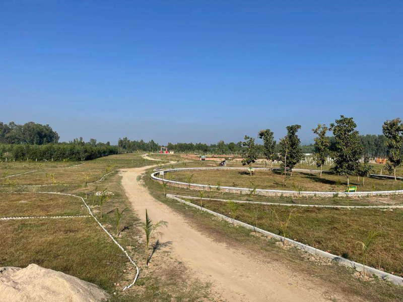  Residential Plot 1000 Sq. Yards for Sale in Sarsawan, Saharanpur
