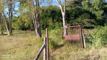 Residential Plot for Sale in Karond, Bhopal