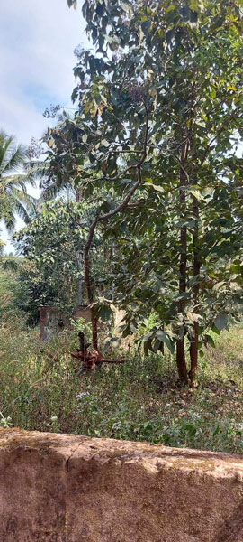  Residential Plot 2157 Sq. Meter for Sale in Mugalli, Goa