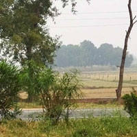  Agricultural Land for Sale in Deegh, Kanpur Dehat