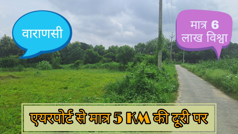  Agricultural Land 22 Biswa for Sale in badagao Varanasi