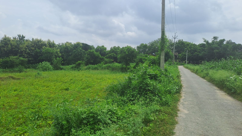  Agricultural Land 22 Biswa for Sale in badagao Varanasi