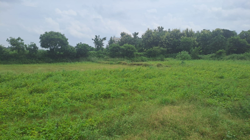  Agricultural Land 22 Biswa for Sale in badagao Varanasi