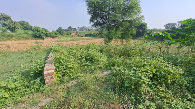  Residential Plot 680 Sq.ft. for Sale in Lohta, Varanasi