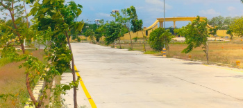  Residential Plot for Sale in Dindigul Road, Tiruchirappalli