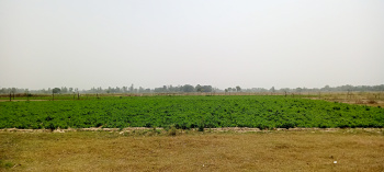  Agricultural Land for Sale in Barabanki, Barabanki
