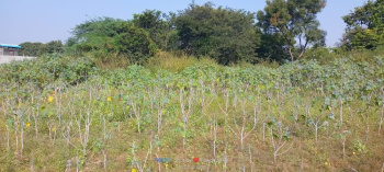  Agricultural Land for Sale in Addakal, Mahbubnagar