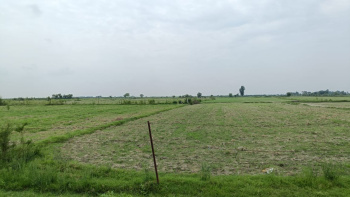  Agricultural Land for Sale in Civil Lines, Budaun
