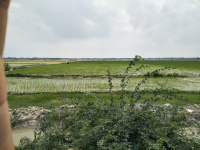  Agricultural Land for Sale in Agar Nagar, Ludhiana