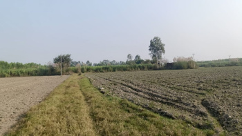  Agricultural Land for Sale in Kachhla, Budaun