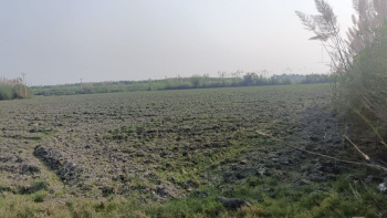  Agricultural Land for Sale in Chandigarh Delhi Highway