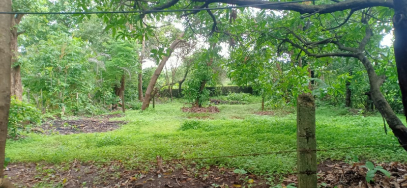  Residential Plot 5000 Sq.ft. for Sale in Badlapur, Thane