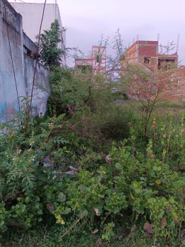  Residential Plot for Sale in Sirgiti, Bilaspur