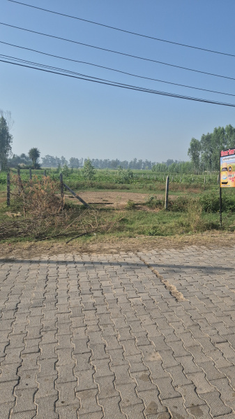  Agricultural Land 1600 Sq. Yards for Sale in Ambala Cantt