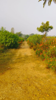  Residential Plot for Sale in Chargawan, Jabalpur