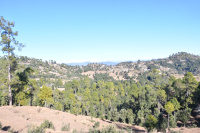 Agricultural Land for Sale in Mukteshwar, Nainital