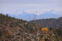 3 BHK Villa for Sale in Mukteshwar, Nainital