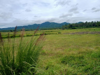 Agricultural Land for Sale in Yamuna Expressway, Greater Noida