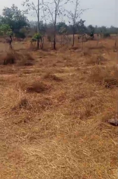  Agricultural Land for Sale in Murbad, Thane