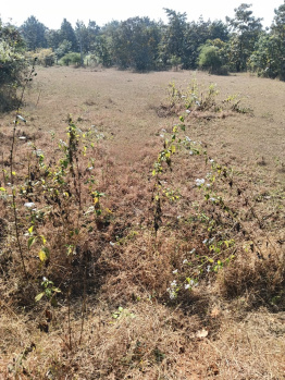  Agricultural Land for Sale in Murbad, Thane