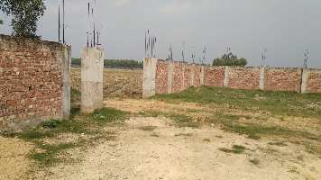  Commercial Land for Sale in Contai, Medinipur