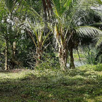  Agricultural Land for Sale in Uppoor, Udupi