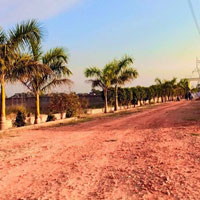  Residential Plot for Sale in Kiraoli, Agra