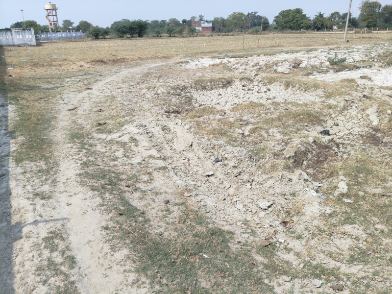  Commercial Land 6 Biswa for Sale in Gauriganj, Amethi