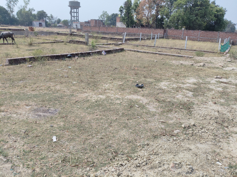  Residential Plot 1000 Sq.ft. for Sale in Gauriganj, Amethi