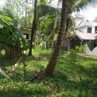  Residential Plot for Sale in Chingavanam, Kottayam