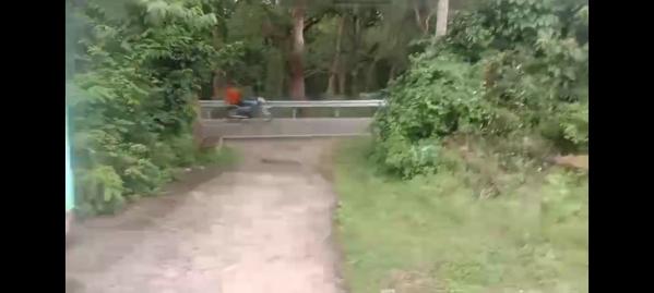  Residential Plot 5 Bigha for Sale in Vikas Nagar, Dehradun