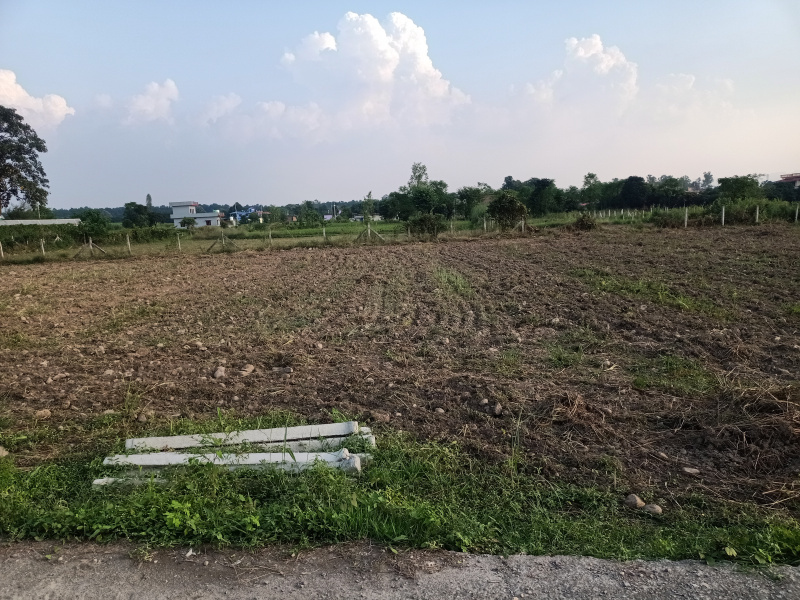  Agricultural Land 4 Bigha for Sale in Vikas Nagar, Dehradun