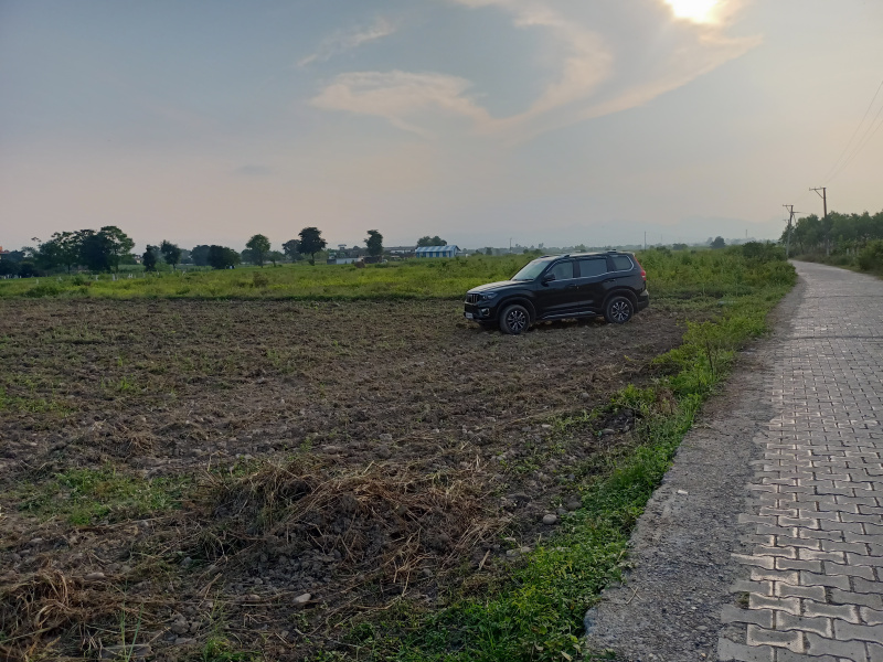  Agricultural Land 4 Bigha for Sale in Vikas Nagar, Dehradun