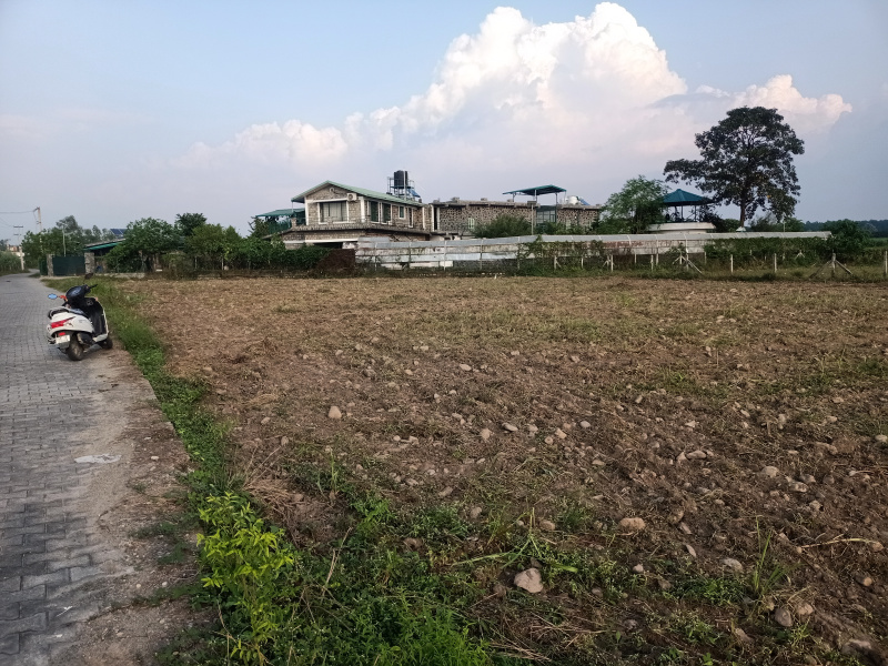  Agricultural Land 4 Bigha for Sale in Vikas Nagar, Dehradun
