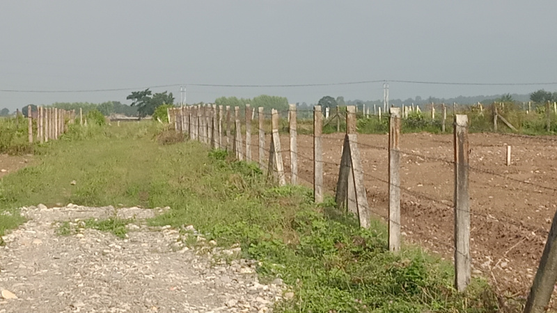  Agricultural Land 2 Bigha for Sale in Vikas Nagar, Dehradun