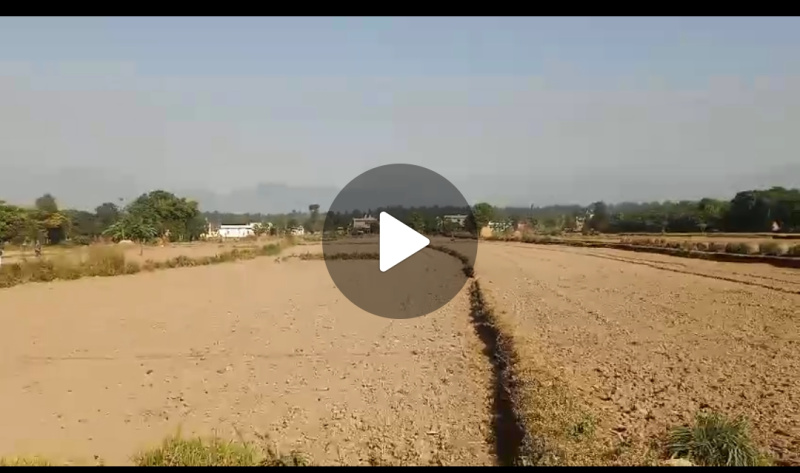  4 Bigha Agricultural/Farm Land for Sale in Vikas Nagar, Dehradun