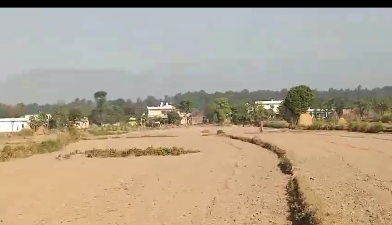  4 Bigha Agricultural/Farm Land for Sale in Vikas Nagar, Dehradun
