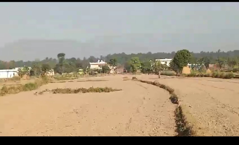  4 Bigha Agricultural/Farm Land for Sale in Vikas Nagar, Dehradun