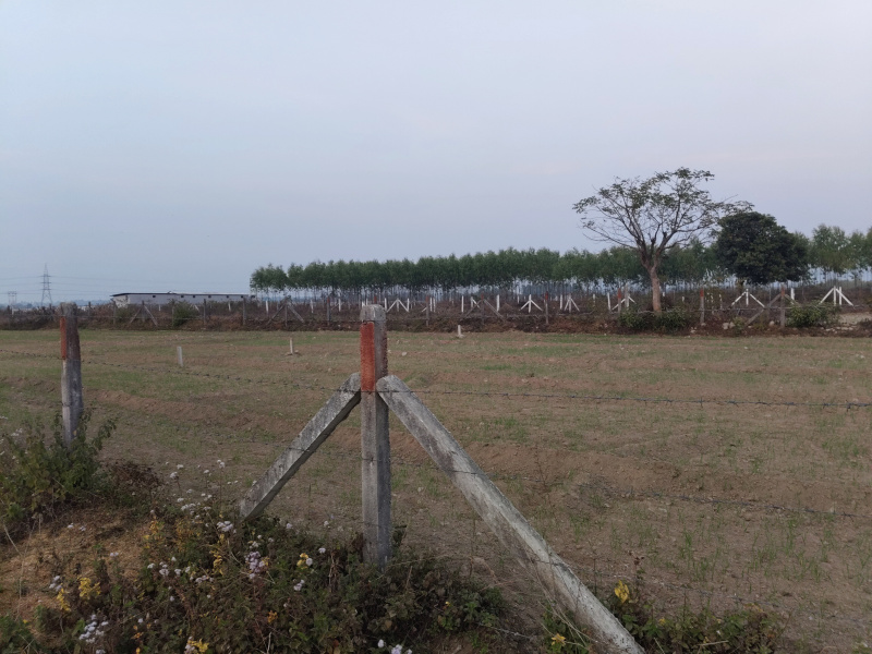 10 BHK 2 Bigha Farm House for Sale in Herbertpur, Dehradun